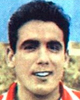 Salvador Estruch Mañez